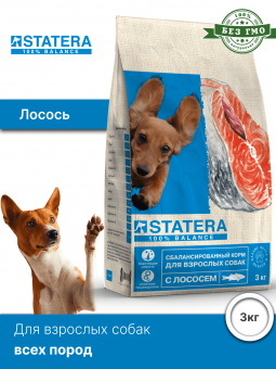 Сухой корм STATERA для взрослых собак всех пород  с лососем, 3 кг