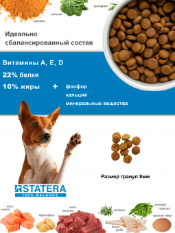 Сухой корм STATERA для взрослых собак всех пород  с лососем, 0,8 кг