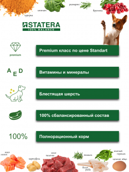 Консервы для собак STATERA сочные кусочки в желе с индейкой 0,2кг х 12шт