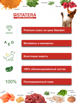 Консервы для собак STATERA сочные кусочки в желе с ягненком 0,4кг х 6шт